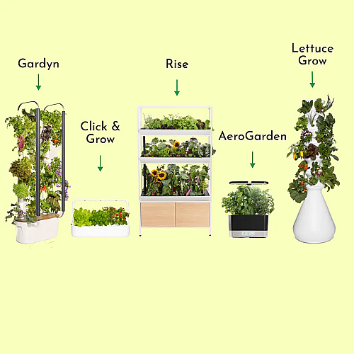 5 Top Indoor Gardens: Which Reigns Supreme this Holiday Season?