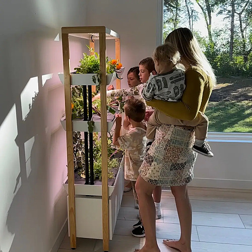 I spent $799 on the award-winning indoor garden that enables anyone to have a green thumb. Here’s why it was worth it for my family.