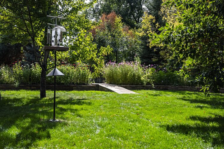 Sunday Lawn Care vs Traditional Fertilizers: Which Is Best for Your Lawn?