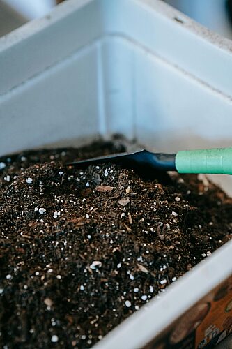 Reencle vs Mill: Home Composting vs. Dehydrating