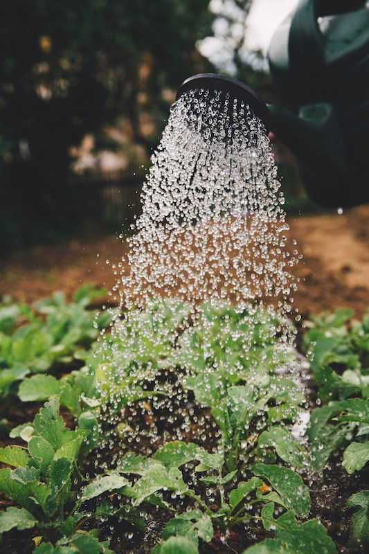 markus spiske sfydxgrt5oa unsplash