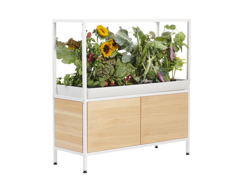 Rise Gardens Indoor Garden