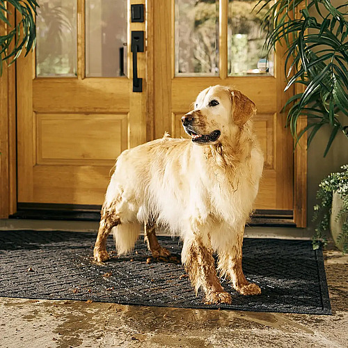 Why Pet Parents Are Obsessed With This $45 Dog Doormat