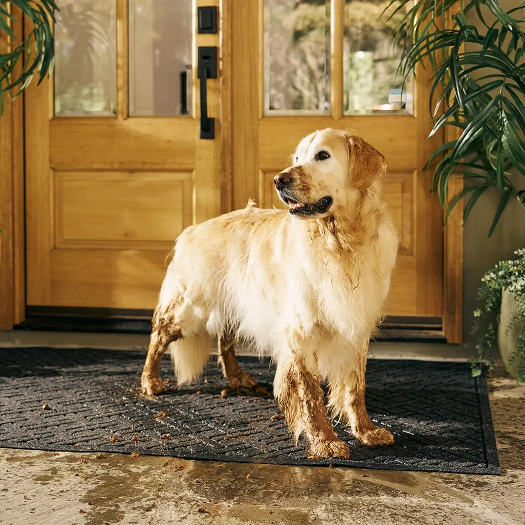 Why Pet Parents Are Obsessed With This $45 Dog Doormat