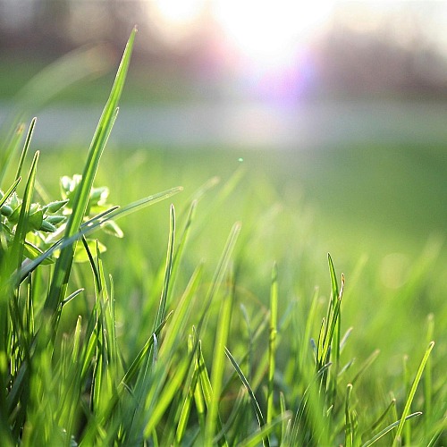 Show Your Lawn Some Love With This Simple Spring Lawn Care Checklist