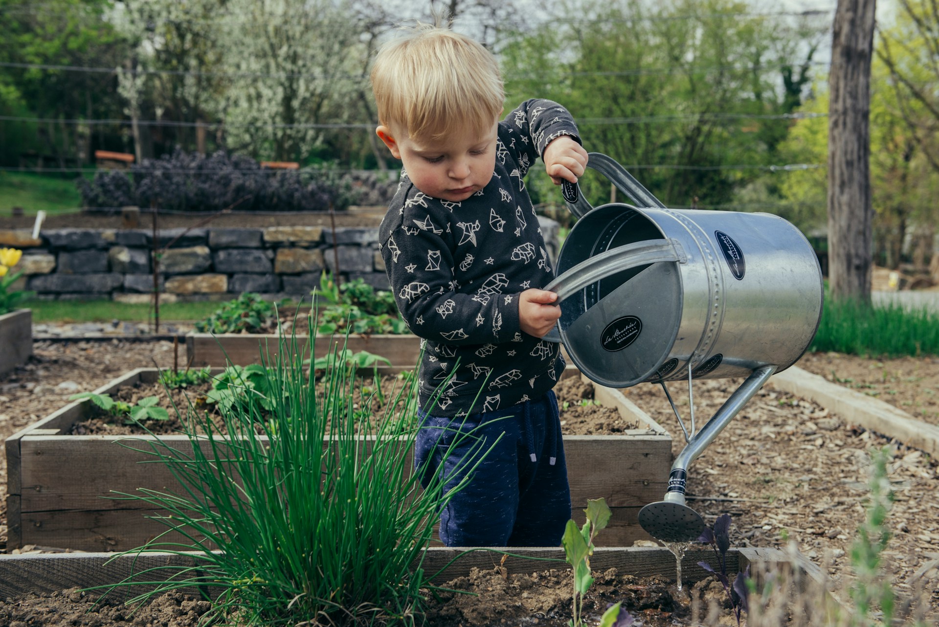Young child watering plants, completing one of the gardening tasks for May